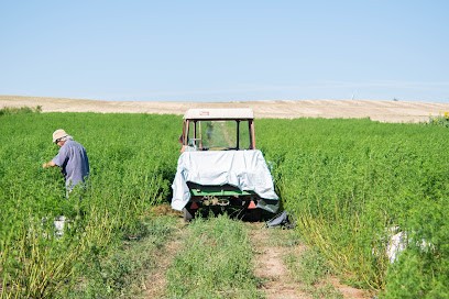 Artemisia-Shop, Blumenladen in Ammerbuch