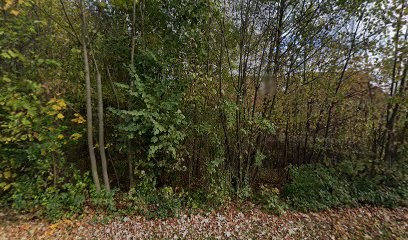 Margita Poole Zauber des Augenblicks, Blumenladen in Lage