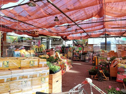 Blumen GmbH Aurenz, Blumenladen in Remseck