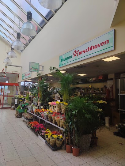 Blumen Morschhoven, Blumenladen in Kerpen