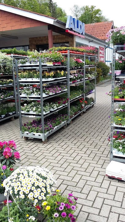Rotenburger Blumen-Basar Inh. Ayse Eser & Tülin Sülük, Blumenladen in Rotenburg an der  Fulda