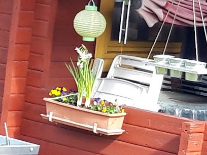 Gärtnerei Seehof Karl-Heinz Seehof, Blumenladen in Stadtallendorf