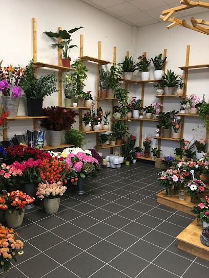 Blumenhaus, Blumenladen in Hohen Neuendorf