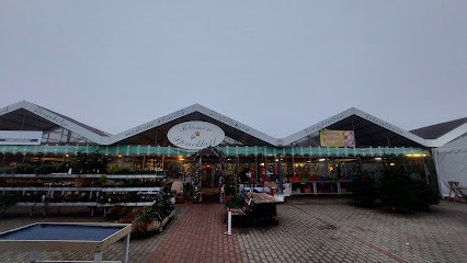 Blumen Sprockhoff Inh. Maaß & Maaß GbR, Blumenladen in Seelow