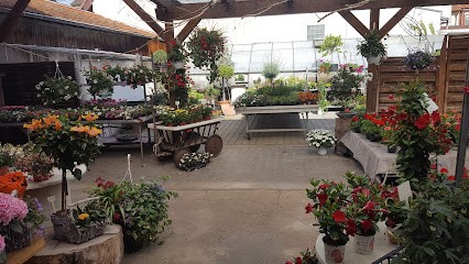 Blumen Freund, Blumenladen in Ladenburg