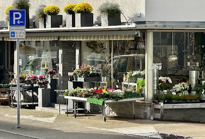 Blumenhaus Lang GmbH, Blumenladen in Eßlingen