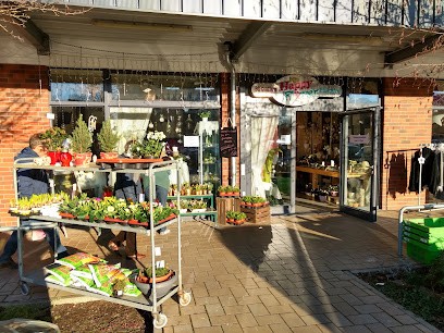 Blumen Behr (bis 30.09.18 Happy Flower), Blumenladen in Laatzen