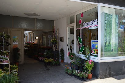 Blumen Mit Stil - Michaela Fürst, Blumenladen in Neustadt an der Weinstraße