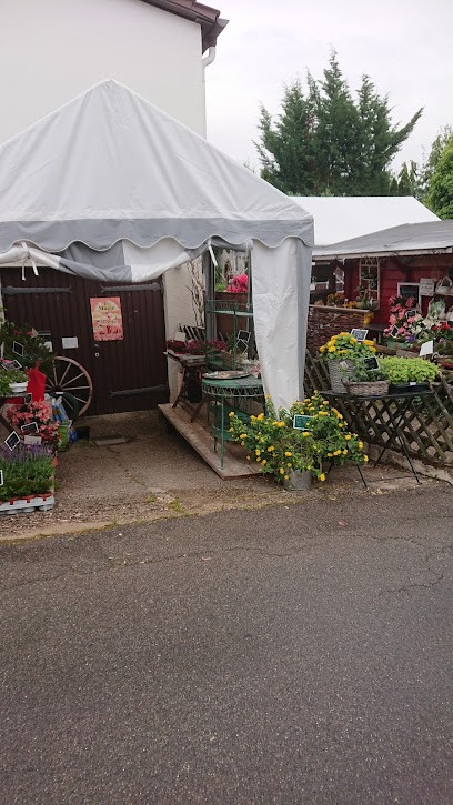 Blumenbinderei Tabea Benz, Blumenladen in Leinfelden-Echterdingen