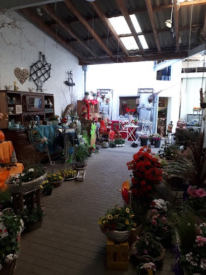 Vitus Blumen Iris, Blumenladen in Alfter