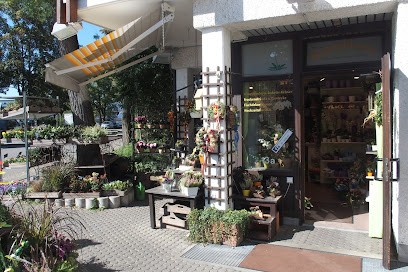 Pusteblume - Blumenfachgeschäft, Blumenladen in Olching