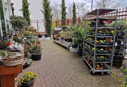 Christa's Blumenoase Floristik Und Friedhofsgärtnerei, Blumenladen in Castrop-Rauxel