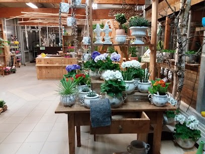 Peter Hochstetter Gärtnerei Und Blumenhaus, Blumenladen in Wannweil