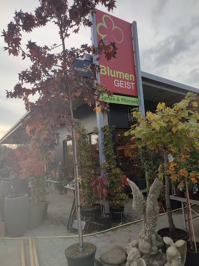 Blumen Geist, Jürgen Geist, Blumenladen in Schonungen