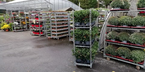 The Flower Company by blumenfrank GmbH, Blumenladen in Gelsenkirchen