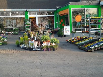 Blumen Ingo und Tanja Nos GbR, Blumenladen in Aachen