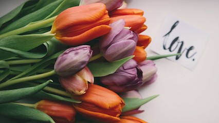 Floristik Elke Lylo, Blumenladen in Gummersbach