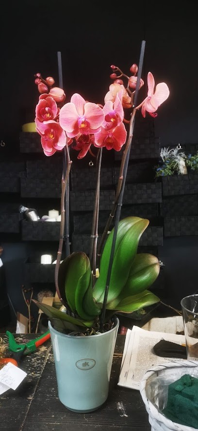 Die Blume, Blumenladen in Aicha vorm Wald