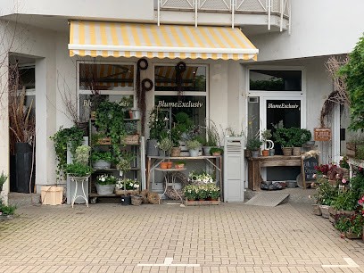 Blume Exclusiv, Blumenladen in Sandhausen