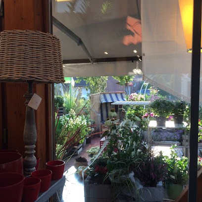 Die Blumen-Lounge Göllner, Blumenladen in Baunatal