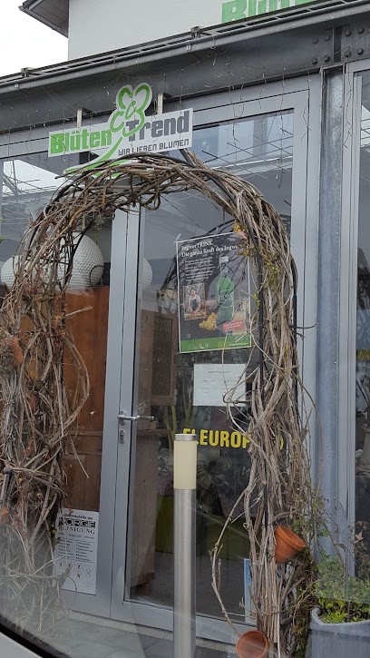 Blüten Trend Inh. Nadja Neufeld Geb. Pflüger, Blumenladen in Weikersheim