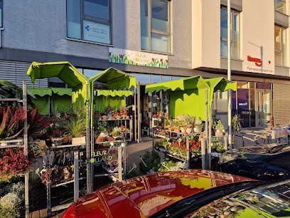 Fleur Holland Blumen, Blumenladen in Bayreuth