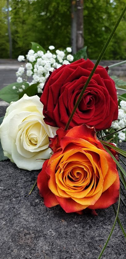 Gärtnerei Schäfer Inh. Elke Brandecker, Blumenladen in Heidenheim