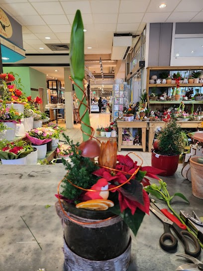 Alice im Blumenland, Blumenladen in Düsseldorf