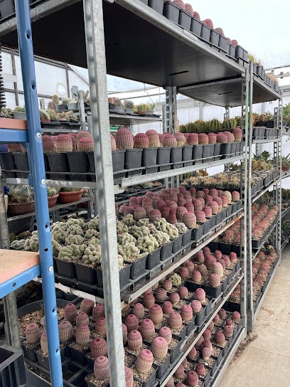 Röttinger Kakteengarten Gärtnerei, Blumenladen in Lauchheim