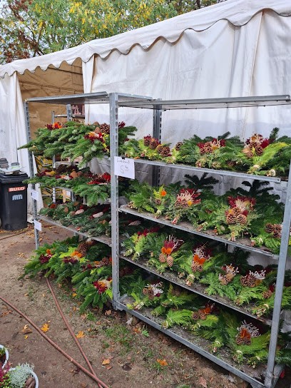 Ingo Salzmann Blumen Und Mehr, Blumenladen in Nuthetal