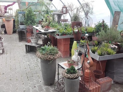 Blumenladen Haunetal Brenzel, Blumenladen in Haunetal