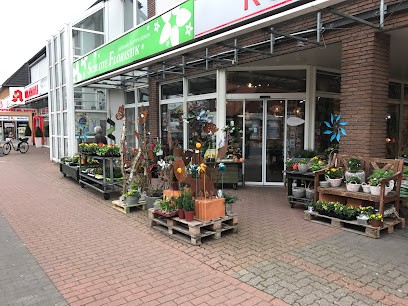 SCHLOTE FLORISTIK, Blumenladen in Garbsen