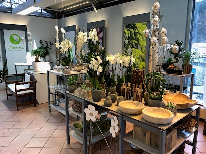 Gärtnerei Brenneis, Blumenladen in Eberbach