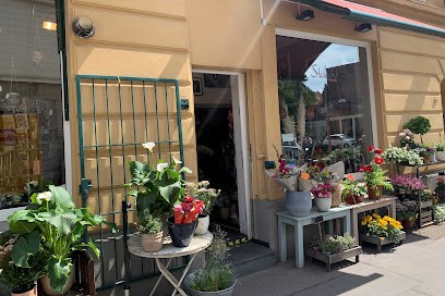 Stielecht Floristik | Blumen, Pflanzen und Hochzeitsfloristik Köln, Blumenladen in Köln