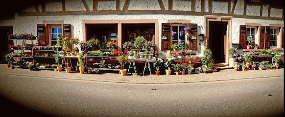 Die Blumenstube, Blumenladen in Wolfstein