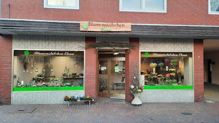 Blumenstübchen Elena, Blumenladen in Rotenburg