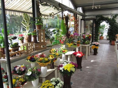 Blumenhaus H. Wolf - Floristik - Gärtnerei - Grabpflege, Blumenladen in Haldensleben