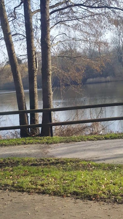 Blumenstrauß verschicken, Blumenladen in Heikendorf