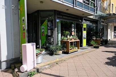 Jäger Blumen Und Trends, Blumenladen in Kornwestheim