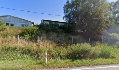 Erzeugerorganisation Gemüse, Obst & Zierpflanzen Zittau GmbH, Blumenladen in Zittau