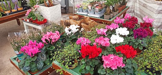 Blumenhaus & Landschaftsbau Killat GbR, Blumenladen in Artern