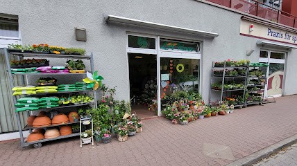 La Rose Blumen & Floristik, Blumenladen in Gardelegen