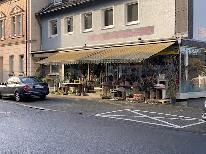 Das Blumenhandwerk, Blumenladen in Kerpen