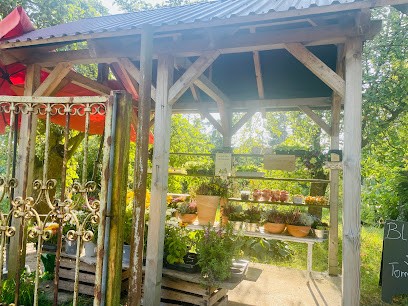 Kathi Laß - Natura Fleure Ehm. Gärtnerei Gertrud Lass, Blumenladen in Woldegk