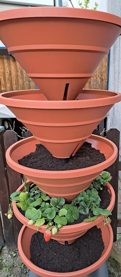 Gärtnerei Lößlin Inh. Iris Krüger, Blumenladen in Rheinhausen