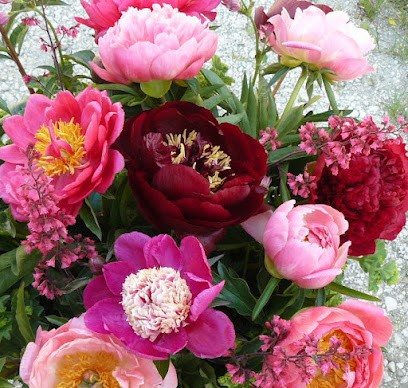 Blumengarten Andrea Köttner, Blumenladen in Obermarchtal