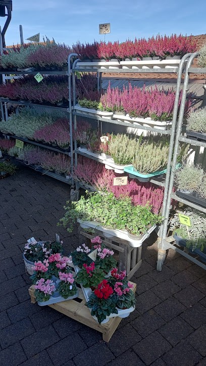 Blumen Galerie, Blumenladen in Sinntal