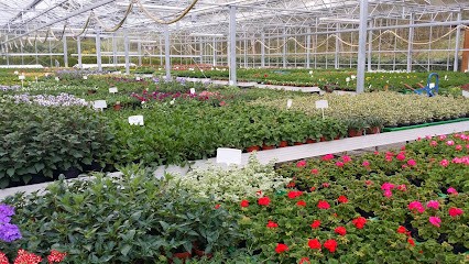 Blumen Deml, Blumenladen in Rieden