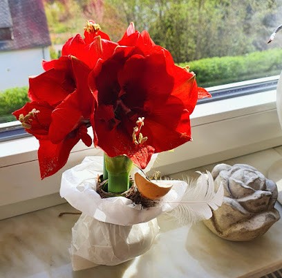 Blatt u. Blüte - Stefanie Wallerich, Blumenladen in Saarburg