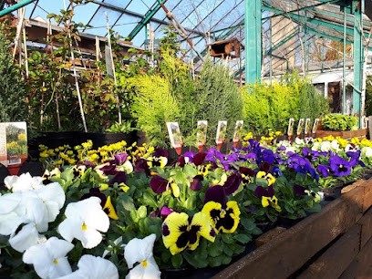 Gärtnerei Fuchs, Blumenladen in Kleinwallstadt